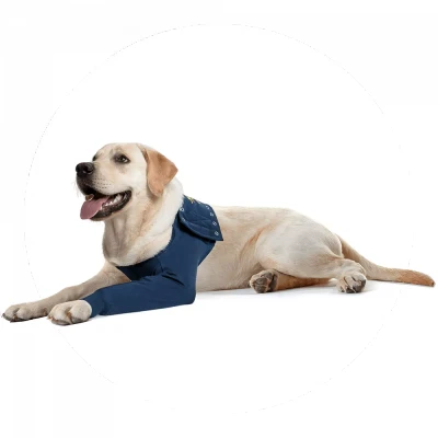 Afbeelding van Medical Pet Shirt / MPS TAZ Enkele Voorpootmouw Hond