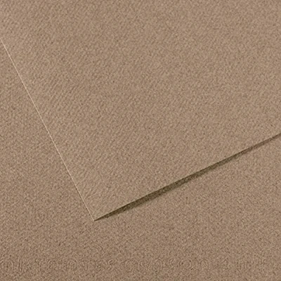 Afbeelding van Canson Mi Teintes kleurpapier, 160 g/m², 29,7 x 61 cm, grijs (Steel Grey 431)
