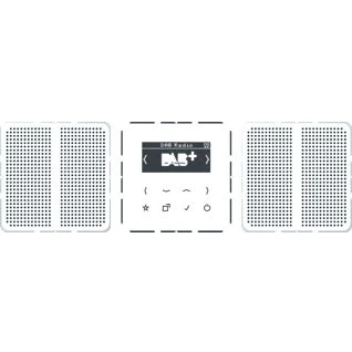 Afbeelding van Jung radio dabcd2ww