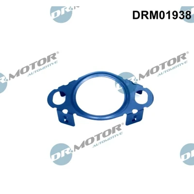 Afbeelding van Dichtring, leiding EGR klep Dr.Motor Automotive DRM01938