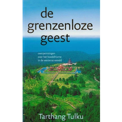Afbeelding van De grenzeloze geest (Paperback)