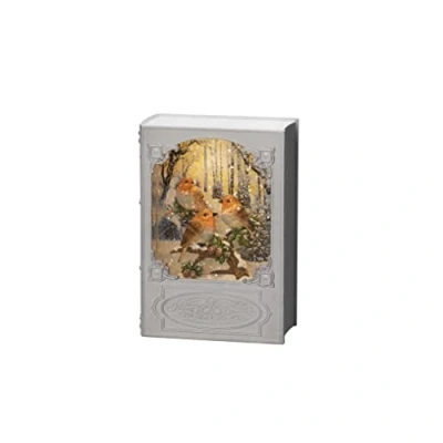 Afbeelding van Konstsmide 4285 200 LED lantaarn Vogel Warmwit Wit Watergevuld, Timer
