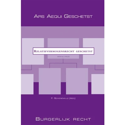 Afbeelding van Relatievermogensrecht geschetst