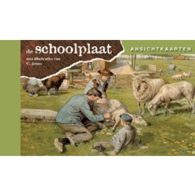 Afbeelding van Ansichtkaarten, de Schoolplaat Het Volle Leven