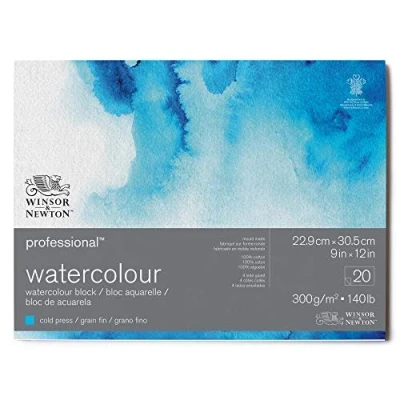 Afbeelding van Winsor &amp; Newton 6664002 Professioneel aquarelpapier in blok 20 vellen 22,9 x 30,5 cm, 300 g/m², fijnkorrelig, helder natuurlijk wit papier archiveerbare kwaliteit, bestand tegen vergeling