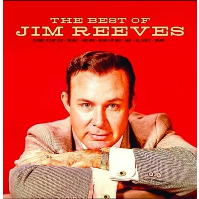 Afbeelding van Jim Reeves Adios Amigo (LP)