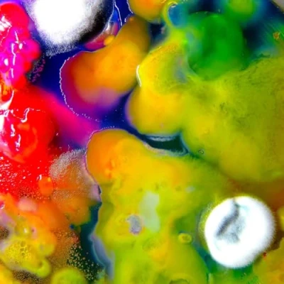 Afbeelding van Guerilla Toss Famously Alive (LP)