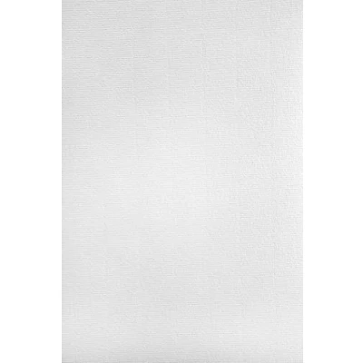 Afbeelding van Netuno 500x wit knutselpapier geribbeld met watermerk A4 297x210mm 120g Aster Laid White hoogwaardig voor brieven