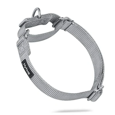 Afbeelding van Hyhug ontwerpt de klassieke nylon eenkleurige martinale hondenhalsband voor vluchtpreventie, halsband hond, dagelijks en trainingsgebruik (medium, sleet grijs)