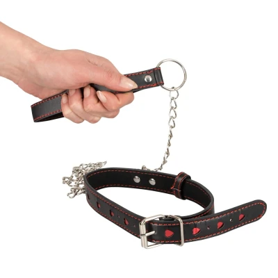 Afbeelding van Kunstleren Halsband met Riem
