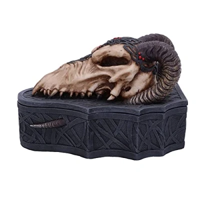 Afbeelding van Nemesis Now Dragon Skull Box (Monte Moore) 17.7cm