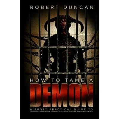 Afbeelding van How to Tame A Demon: short practical guide organized intimidation stalking, electronic torture, and mind control