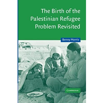 Afbeelding van the Birth of Palestinian Refugee Problem Revisited: 18