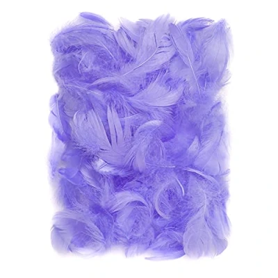 Afbeelding van Netuno 150 stuks paarse decoratieve veren, 10 g pluisveren, sieradenveren, vogelveren, knutselveren, natuur, voor doe het zelf knutselen, decoratie, Pasen, Kerstmis, decoratiefiguur