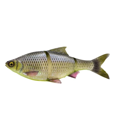 Afbeelding van Savage Gear 3D Line Thru Roach Slow Sinking 25cm (206g) Hugo Swimbait
