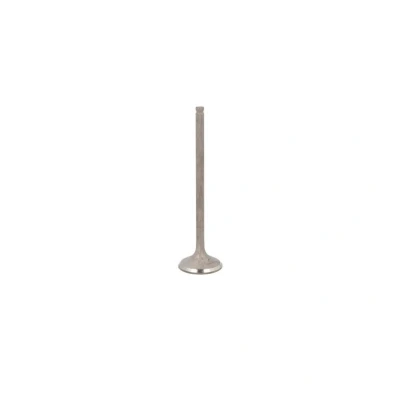 Afbeelding van Uitlaatklep FRECCIA R6556/RNT