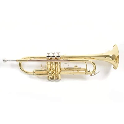 Afbeelding van Roy Benson Bb Trompet TR 101 (Professioneel ontworpen met ML boring, Perfecte akoestiek, goudkoperen leadpipe, inclusief lichte rechthoekige koffer, rugzakset)