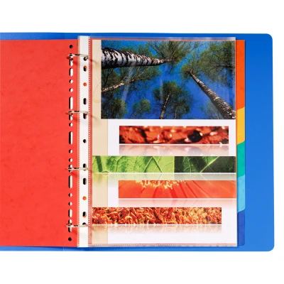 Afbeelding van Exacompta ref. 2406E Soepele glanskartonnen tabbladen 225g/m2 FSC® met 6 neutrale tabs Formaat A4 Maxi Afmetingen: 24,5 x 29,7 cm Geassorteerde kleuren