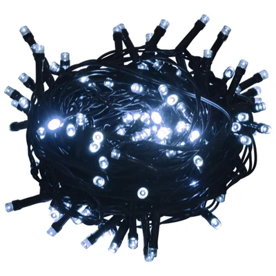 Afbeelding van Lichtsnoer 2000 Led&#039;s Voor Binnen En Buiten Ip44 200 M Koudwit