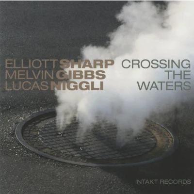 Afbeelding van Elliott Sharp, Melvin Gibbs, Lucas Niggli Crossing The Waters (CD)