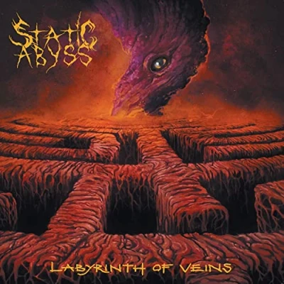 Afbeelding van Static Abyss Labyrinth of Veins (LP)