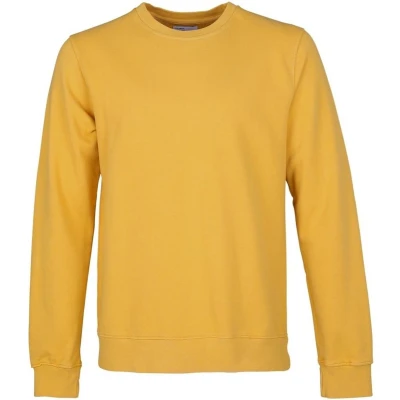 Afbeelding van Colorful Standard Sweater Geel maat M Heren met Regular fit Pasvorm Katoen Suitable Herenkleding