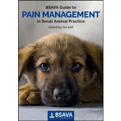 Afbeelding van BSAVA Guide to Pain Management in Small Animal Practice