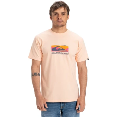 Afbeelding van Quiksilver EV Gradient BOX Tshirt print, Heren, Maat: Medium, Mef