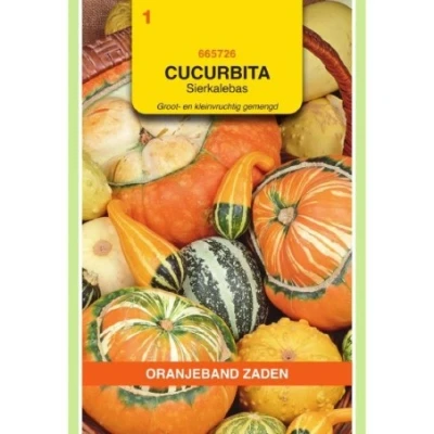 Afbeelding van Cucurbita Sierkalebas groot en kleinvruchtig gemengd