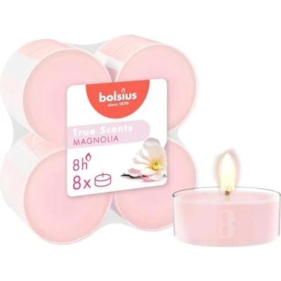 Afbeelding van Bolsius Maxilicht true scents magnolia 8 stuks