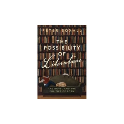 Afbeelding van The Possibility of Literature