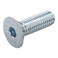 Afbeelding van Silerswaar Bout Pk M4x50 Binnenzeskant (6)