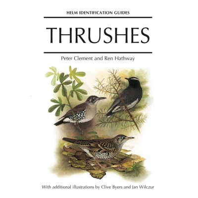 Afbeelding van Helm Identification Guides Thrushes