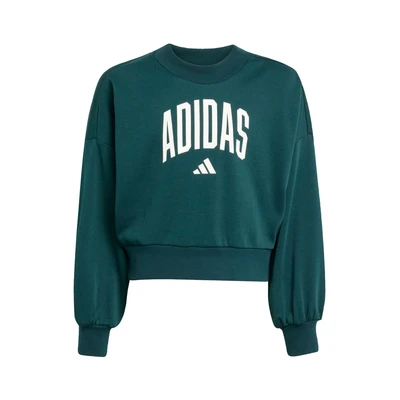 Afbeelding van Sweater adidas Seasonals Essentials Collegiate Typography Crewneck Sweatshirt K