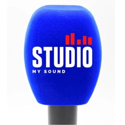 Afbeelding van 2 stuks gepersonaliseerde microfoon schuim voorruiten aangepast logo voor handgreep covers gedrukt tv interview, uitzending, radiostation (blauw,
