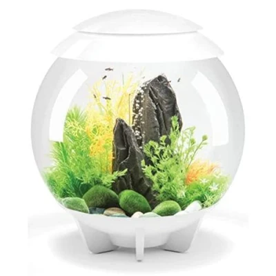 Afbeelding van biOrb Halo 30 acryl 8 gallon aquarium met meerkleurige afstandsbediening LED verlichting moderne tank voor tafelblad display, wit