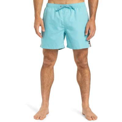 Afbeelding van Quiksilver Everyday Beach Zwemshorts, Heren, Maat: Large, Bha0