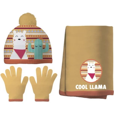 Afbeelding van Cofi Winterset Handschoenen, muts en sjaal