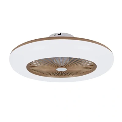 Afbeelding van Plafondventilator met lamp Noaton 11055G Callisto, goud, diameter 55 cm, dimbaar LED max. 48 W, 3 kleurtemperaturen, afstandsbediening, timer, luchtstroom tot 45 m3/min, voor woonkamer slaapkamer…