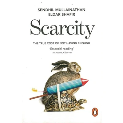 Afbeelding van Scarcity: The True Cost of Not Having Enough