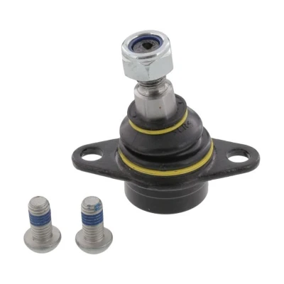 Afbeelding van Moog Fuseekogel BM BJ 0899