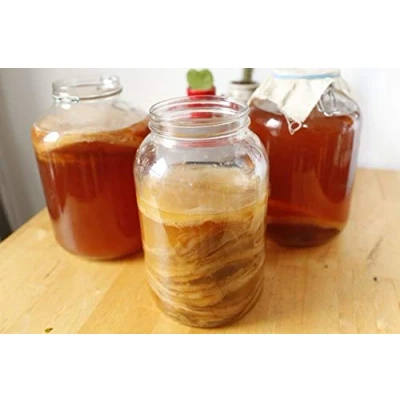 Afbeelding van Kleine Scoby van Kombuchaorganic® UKAS LAB Kwaliteit Getest Uitstekend gecertificeerd biologisch