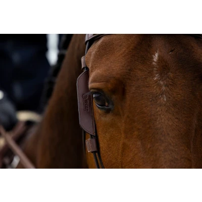 Afbeelding van Trust blinkers