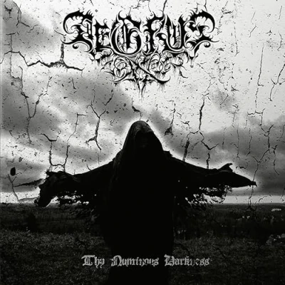 Afbeelding van Aegrus Thy Numinous Darkness (CD)