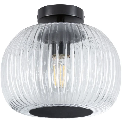 Afbeelding van Paulmann 71146 Ruya Plafondlamp E27 Glas, Zwart (mat)