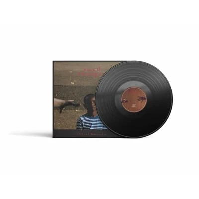 Afbeelding van Michael Kiwanuka Small changes (LP)