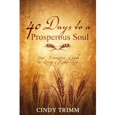 Afbeelding van 40 Days to a Prosperous Soul