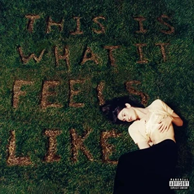 Afbeelding van Gracie Abrams This is What It Feels Like (LP)