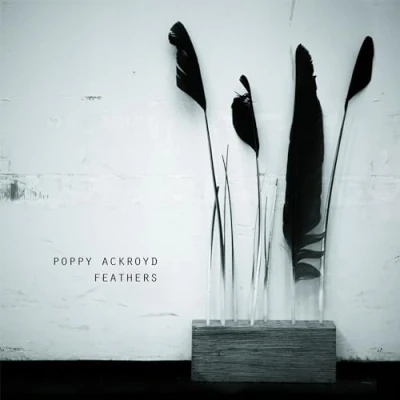 Afbeelding van Poppy Ackroyd Feathers (LP)