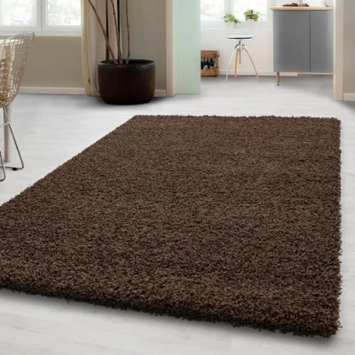 Afbeelding van Carpetsale24 Hoogpolig Vloerkleed Bruin Effen Tapijt Shaggy Modern Woonkamer Slaapkamer, Kinderkamer Trend Soft Fluffy 160 x 230 cm